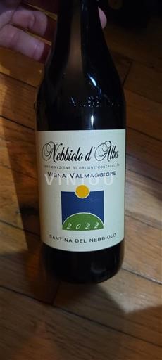 Piemonte Nebbiolo d'Alba Cantina del Nebbiolo Vigna Valmaggiore 2022