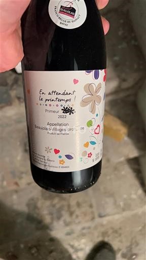Beaujolais Beaujolais Villages Beaujolais-Villages En attendant le printemps ! Primeur 2022