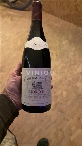 Beaujolais Morgon P. Ferraud & Fils Domaine Ferraud 2022