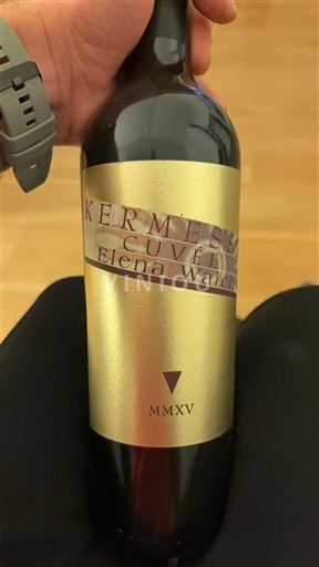 Trentino-Alto Adige Vini del Trentino-Alto Adige Elena Walch Kermesse 2015