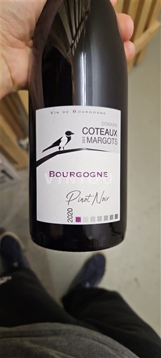 Burgundi Bourgogne Domaine Coteaux des Margots Pinot Noir 2020