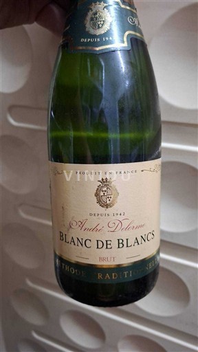 Borgonha Crémant da Borgonha André Delorme Não Sazonado