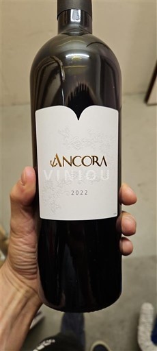 Piemonte Barbera d'Asti Ancora 2022