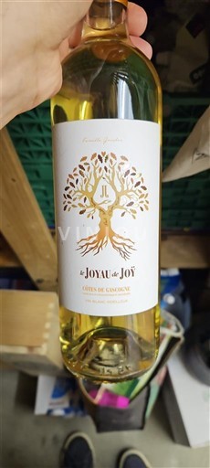 Sud-Ouest Côtes de Gascogne Domaine Joÿ Le Joyau de Joÿ Non Millésimé