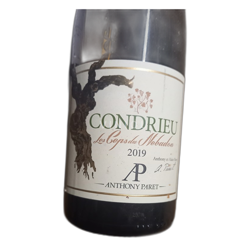 Rhône Valley Condrieu Domaine Paret Les Ceps Du Nebadon 2019