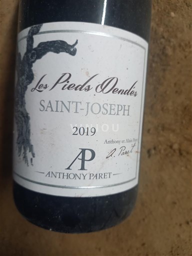 Wines Rouge sec Les Pieds Dondés Anthony Paret 2019 France Rhône Valley Saint-Joseph AOC