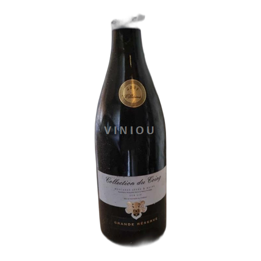 Valle della Loira Muscadet Sèvre et Maine Château Coing Collection du Coing Grande Réserve 2009