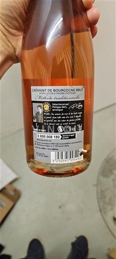 Borgonha Crémant da Borgonha Louvain la neuve Não Sazonado