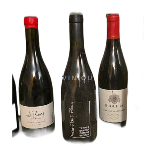 Beaujolais Côte-de-brouilly Domaine S Terres Dorées (Jean-Paul Brun) 2020