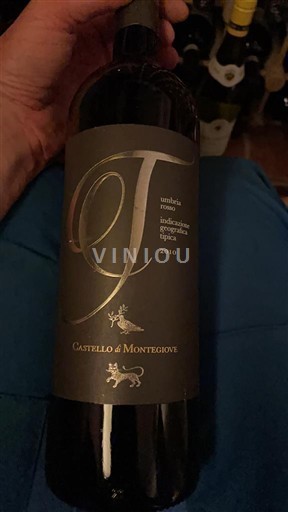 Umbria Non specificato Castello di Montegiove G 2010