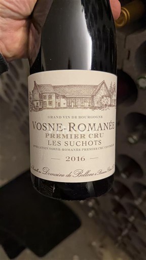 Borgogna Vosne-Romanée Premier Cru Domaine Bellene Les Suchots 2016