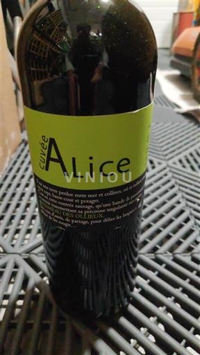 Linguadoca e Rossiglione Côtes de Thongue Domaine La Colombette Alice 2016