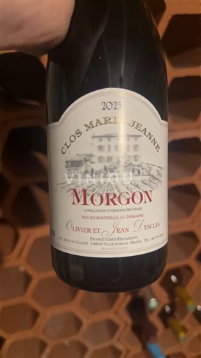 Beaujolais Morgon Clos Marie-Jeanne 2023