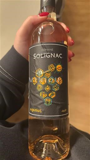 Sud-Ouest Domaine Solignac Non Millésimé