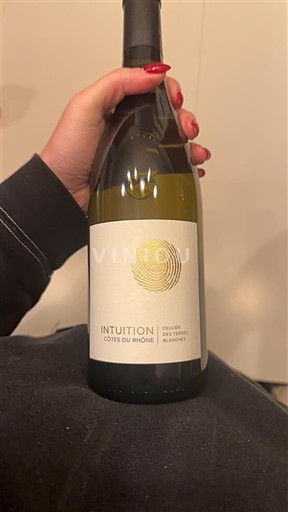 Rhônevallei Côtes-du-rhône Domaine S Amiel Intuition 2024