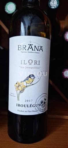 Tây Nam Irouléguy Brana Ilori les jonquilles 2017