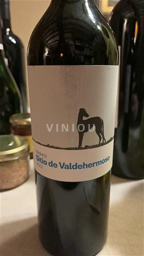 Castilië en León Ribera del Duero Valderiz Sitio de Valdehermoso 2022