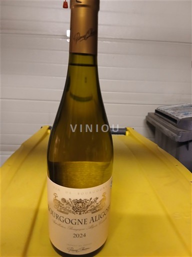 Vini Blanc sec Parigot 2024 Francia Borgogna Borgogna Aligoté AOC