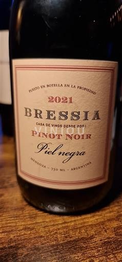 Mendoza Bressia Piel Negra 2021