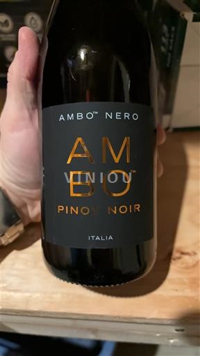 Abruzos Pinot Noir Ambo Nero 2024