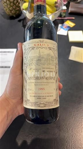 Bordeaux Saint-Émilion Grand Cru Galius 1995