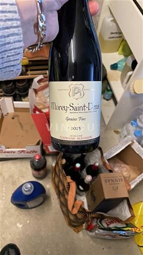 Borgoña Morey-Saint-Denis Stéphane Magnien Grains Fins 2023