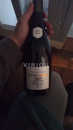Burgundy Pommard Moillard 2017