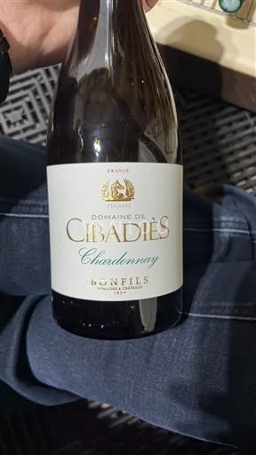 Linguadoca e Rossiglione Côtes de Thongue Domaine Cibadiès Chardonnay Senza annata