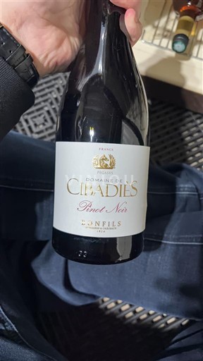 Linguadoca e Rossiglione Paese d'Oc Domaine Cibadiès Pinot Noir Senza annata