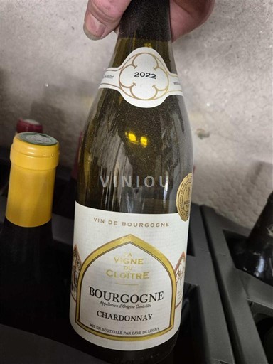 Burgundi Bourgogne Vigne du Cloître 2022