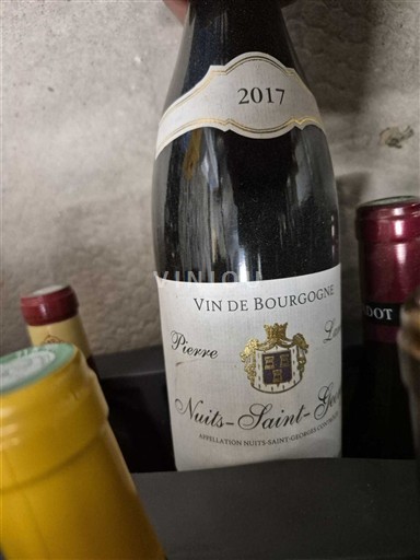 Burgundsko Nuits-saint-georges Pierre 2017