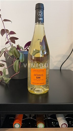 Sudoeste Côtes de Gascogne Domaine Uby Domus 2025