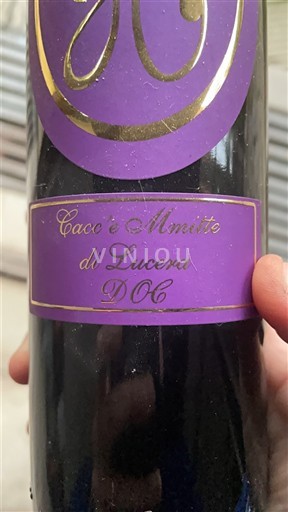 Puglia Cacc’e mmitte di Lucera Cantina La Marchesa 2022