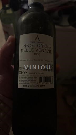 Vénétie Delle Venezie Villa Cornaro 2024