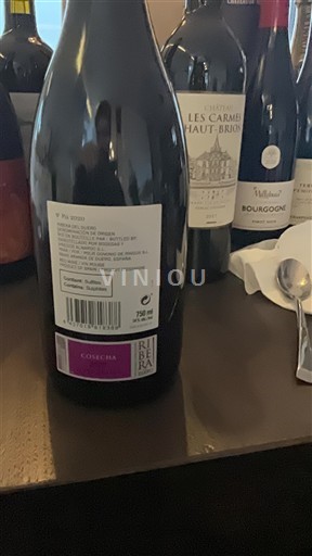 Castille và León Ribera del Duero Dominio de Pingus 2020