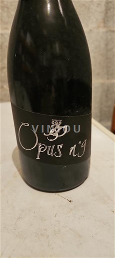 Thung lũng Rhône Gigondas Domaine La Bouïssière Opus 19 2011