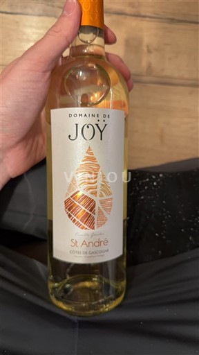 Sud-Ouest Côtes de Gascogne Domaine Joÿ St. André Non Millésimé