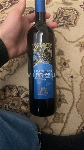 Campania Falanghina del Sannio Terra degli Ercole 2021