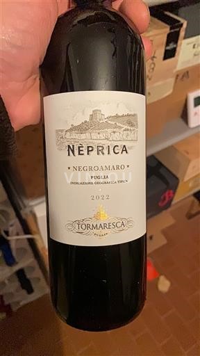 Puglia Không được chỉ định Tormaresca Neprica Negroamaro 2022