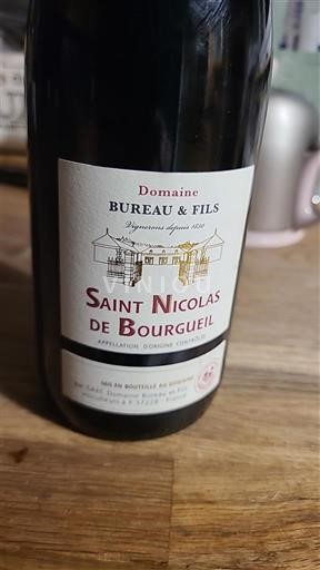 Loire Valley Saint-Nicolas-De-Bourgueil Domaine Bureau & Fils 2024