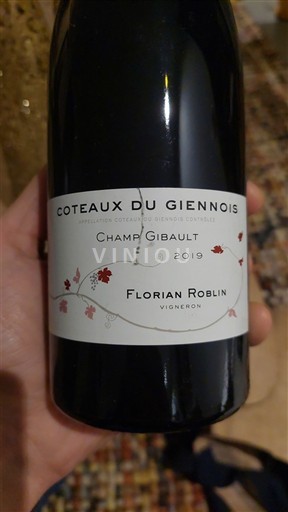 Valle della Loira Coteaux-du-giennois Florian Roblin Champ Gibault 2019