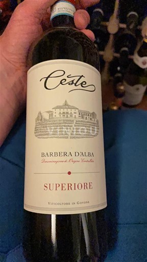 Piamonte Barbera d'Alba Ceste Superiore 2021