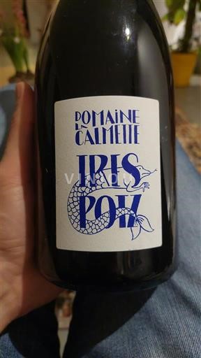 Sydvestfrankrig Cahors Domaine La Calmette Iris Pouz 2019