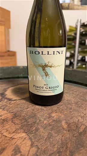 Trentin-Haut-Adige Vigneti delle Dolomiti Bollini 2022