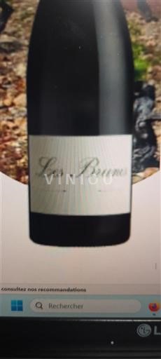 Languedoc og Roussillon Hérault Domaine S Creisses Les Brunes 2023