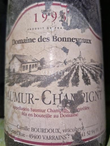 Valle della Loira Saumur-Champigny Domaine S Bonneveaux 1993