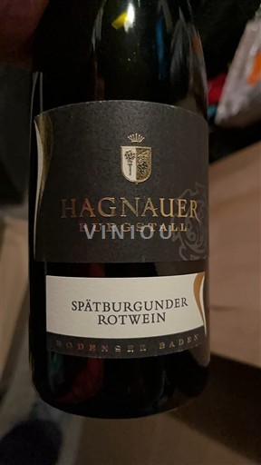 Baden Hagnauer Burgstall 2023