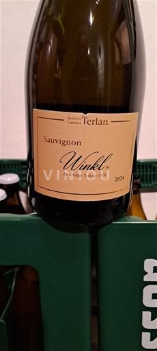 Trentino-Alto Adige Alto Adige Terlan Winkel 2021