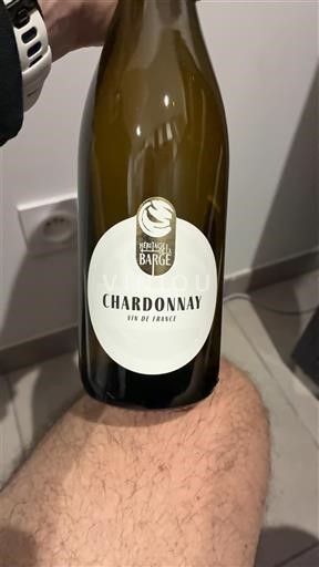 Loirevallei Niet gespecificeerd Domaine La Barge Chardonnay 2024