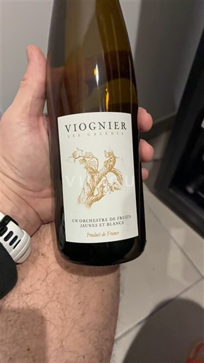 Valle della Loira Vienna Les Galets 2024